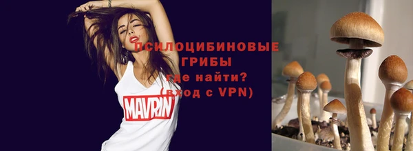 MDMA Premium VHQ Горнозаводск