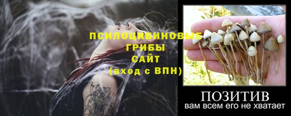 кокаин перу Горняк
